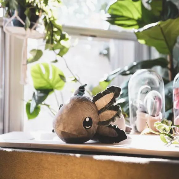 Gray Realistic Axolotl Plush - Picture 5 of 8